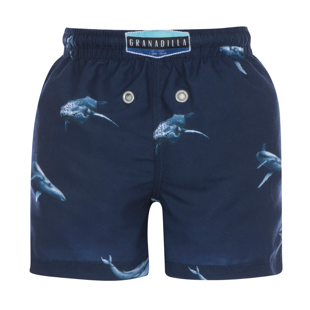 Kids Shorts | Sea Life / Blue