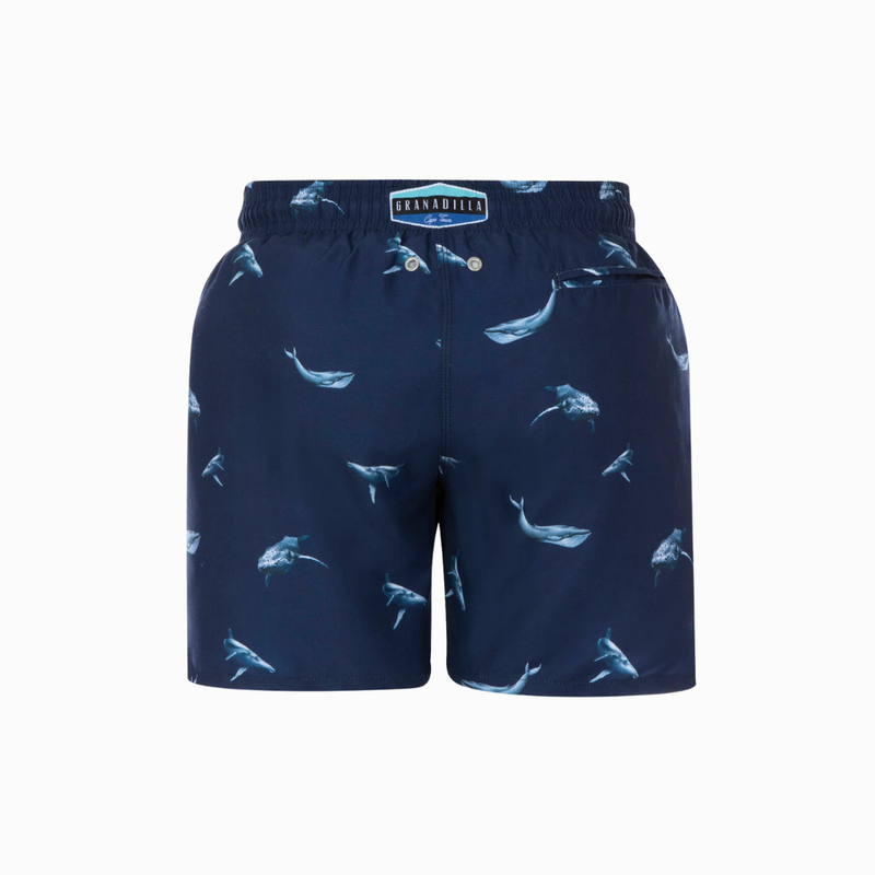 Babyhug Cotton Woven Mid Thigh Length Shorts With Sea Life Print - Navy Blue