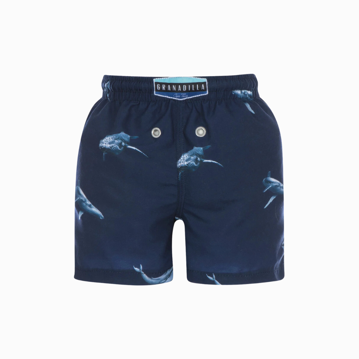 Kids Shorts | Sea Life / Blue