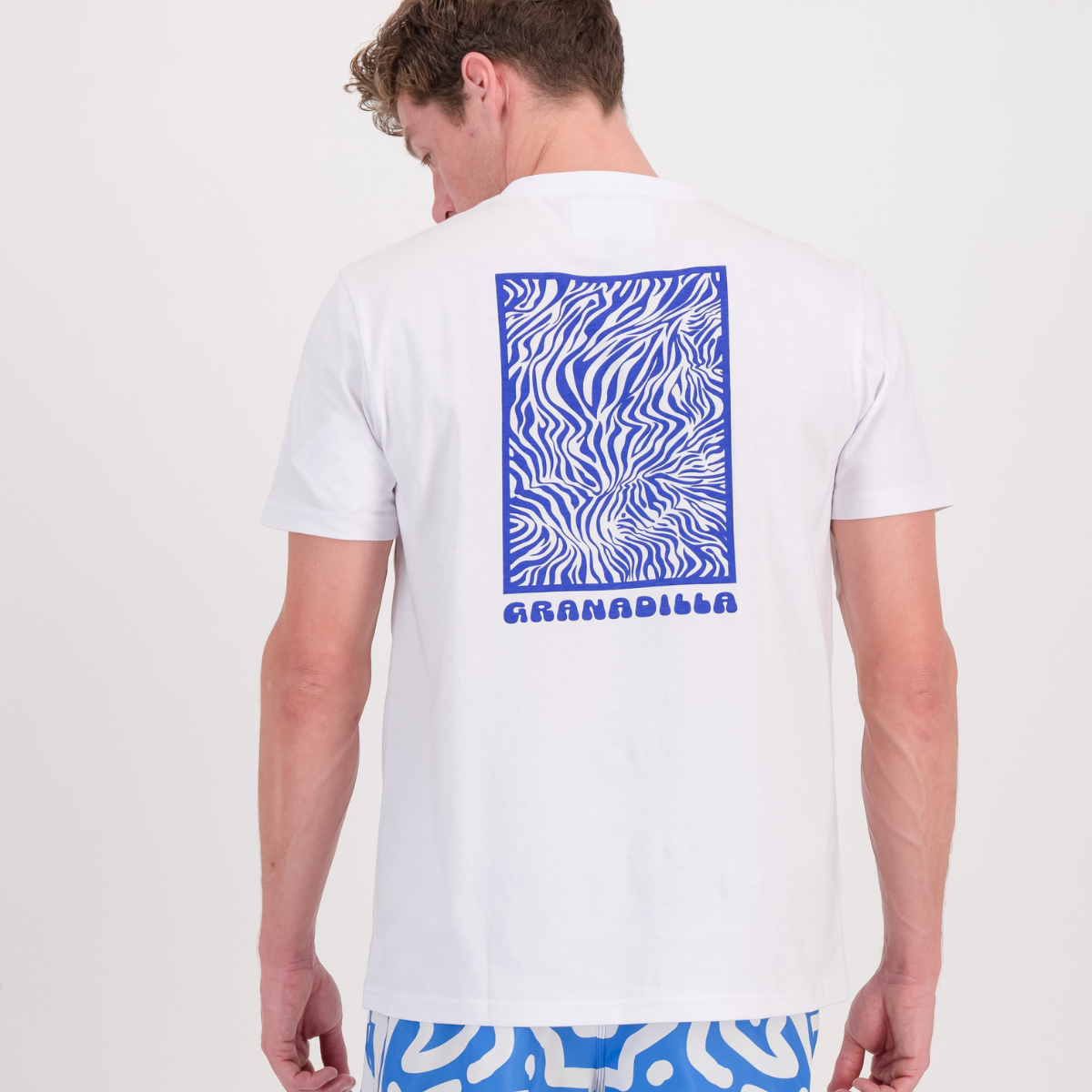 Zebra  | White / T-shirt